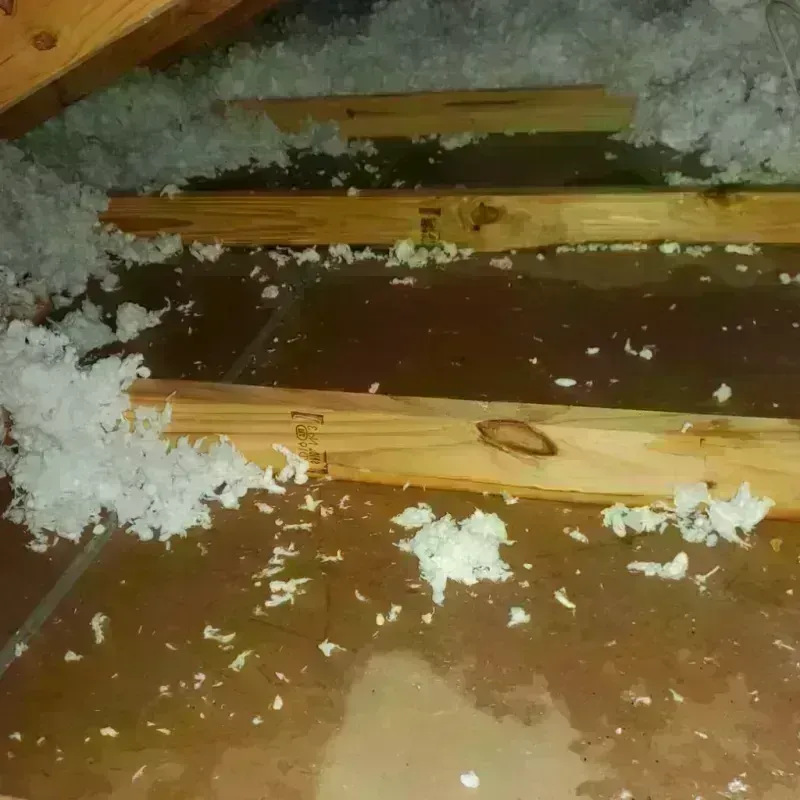 Attic Water Damage in Poway, CA